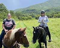 cross-horse