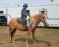 baths-tennessee-walking-horse