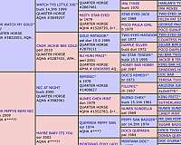 barrel-racing-quarter-horse