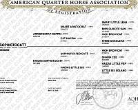 ncha-producer-horse