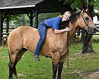 playday-quarter-horse
