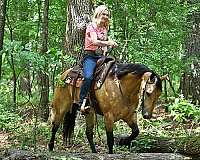 bombproof-quarter-horse
