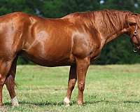 reyz-n-hell-horse