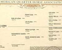 bred-to-broodmare