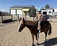 athletic-pony