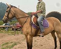 bucksin-mare