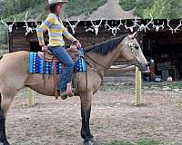 dude-mare
