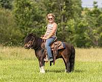 trail-pony