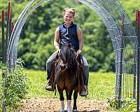 kid-safe-pony