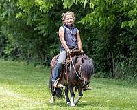 lesson-pony