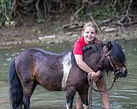 beginner-pony