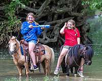 trail-riding-pony