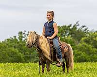 driving-pony