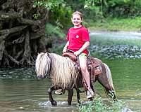 trail-pony