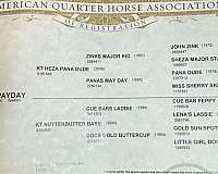 flashy-quarter-horse