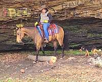 ridden-western-quarter-horse