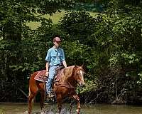 youth-poa-horse
