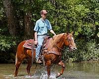 sorrel-poa-mare