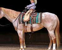 kid-safe-paint-horse