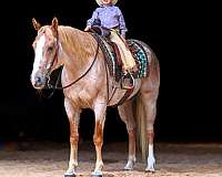 performance-paint-horse