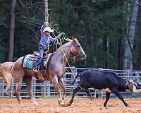 trail-paint-horse