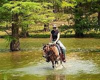 kid-safe-poa-pony