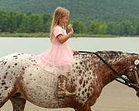 ranch-work-poa-pony