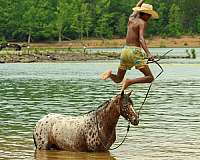 roping-poa-pony