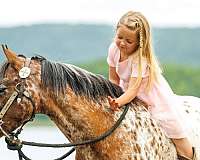 trail-riding-poa-pony