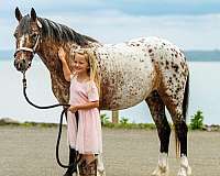 chestnut-poa-mare