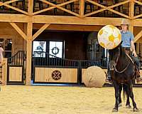draft-friesian-horse