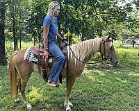 bonnie-quarter-pony