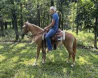 dismount-quarter-pony