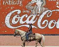 ranch-work-quarter-horse