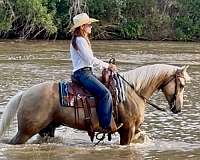 trail-riding-quarter-horse
