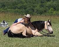 reining-quarter-horse