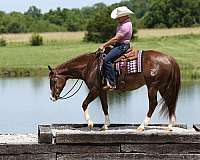 ranch-versatility-quarter-horse