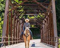 roping-quarter-horse