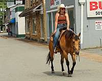 barrel-racing-quarter-horse