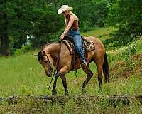 flashy-quarter-horse