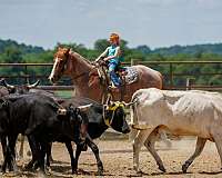 kid-safe-draft-horse