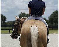 youth-quarter-horse