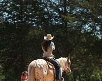 ranch-work-poa-horse