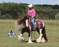 trail-riding-gypsy-vanner-horse