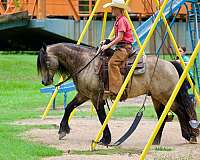 trail-riding-gypsy-vanner-horse