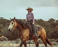 kid-safe-draft-horse