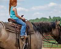 flashy-quarter-horse