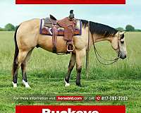 Thumbnail v