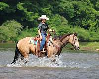 roping-quarter-horse