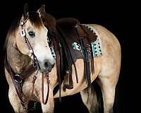 youth-quarter-horse